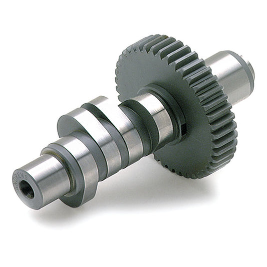 Andrews EV59 cam - 1984-1999 Evo Big Twin