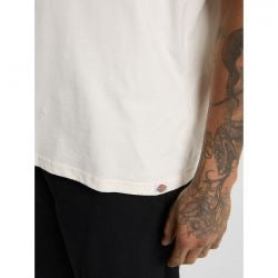 dickies sneedville póló - bézs