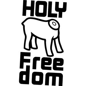 holy freedom stealth diamond bukósisak - matt fekete